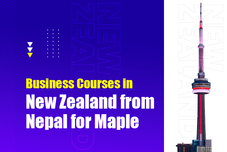 Business Courses in New Zealand : A Detailed Guide